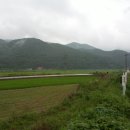 용기농장 Daum카페