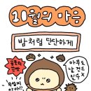 마음모음 이미지