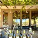 위너메드 이미지