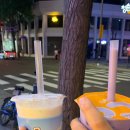 코코버블티 홍대메인거리점 이미지
