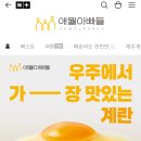 투데이제주