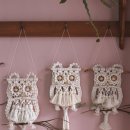 부엉이 스튜디오 이미지