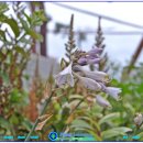 방학사거리 이미지