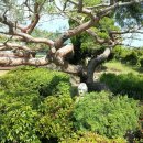 선원공원 이미지