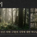 하담데일리바이블(창16장) 아브람과 사래가 자신들의 꾀로 넘어지고 죄악을 저지르나 하나님은 하갈을 긍휼로 덮으신다 이미지