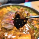 가장맛있는족발 서정리역점 | 평택 서정리역 맛집 신사우물갈비 서정리역점 중독성있게 매운 산더미물갈비 후기