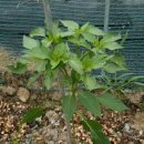 산여울농장 이미지