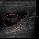 해운대플러스동물병원 이미지