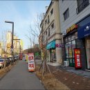 하파데이 이미지