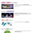 뮤지컬 판타스틱 이미지