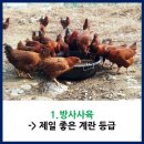정보 이미지