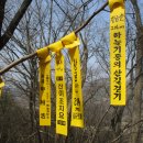 비석농장 Daum카페