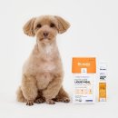 대상펫라이프(주) 이미지