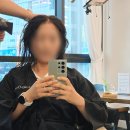 유민 | 지축미용실 비브헤어에서 레이어드컷 유민 실장 추천 후기