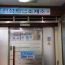 신성직업소개소 Daum카페