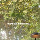 블라인디드바이커피비비씨