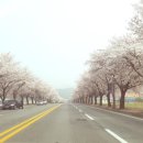 왕궁참숯갈비