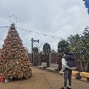 본초약국 | 3인 가족 제주도 3박 4일 여행기 3일차