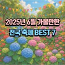 2025년 6월 가족·연인과 갈만한 축제 BEST 7 – 위치·일정 한눈에!