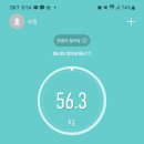 아티니카 이미지
