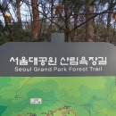 향목 이미지