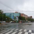 삼호농협주유소 이미지