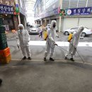 대구능금시장 이미지