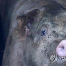 오지 3리 이미지