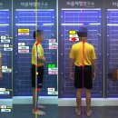 회복바른자세연구소