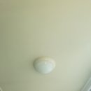 세영바이오 이미지