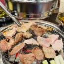 특수고기 이미지
