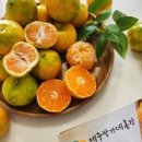 방가네농장 이미지