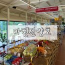 상락원 | 마켓진양호 | 진주 진양호카페 애견동반 가능한 감성카페 내돈내산 후기