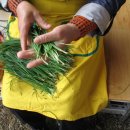 홍성농협 이미지