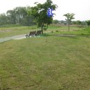 양평파크골프장 이미지