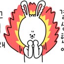 네일르미에르 이미지