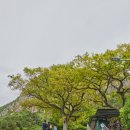 이디아장 | 5월의 제주 산방산 풍경을 구경하고 색달식당 푸짐한 먹방까지 해보았던 후기