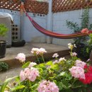 속리산계곡펜션 이미지