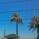 바달로나 | 바르셀로나 인근 소도시 바달로나, 후기 맛집