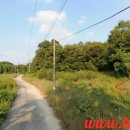 삼죽농장 이미지