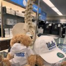 E-DENTAL | INBDE 합격증 도착. 한국 치과의사의 미국 치과의사 준비 현실 기록