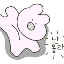 밤비뷰티 이미지