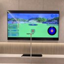 여행의 동반자 | 일본 골프 여행 망친 쓰리펏, 집에서 스마트펏(SmartPutt)으로 완벽 대비 중 (리얼후기)