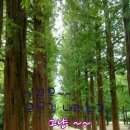 드르와