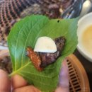 싱싱목장 이미지
