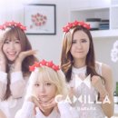 티바두마리치킨 이미지