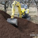 임선농장 이미지