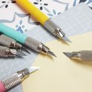 제스트칼 이미지