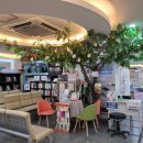 본 의원 이미지