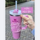 [혼잣말리뷰] 스탠리 퀜처 플로우스테이트 텀블러 887ml 피오니 컬러 솔직 사용 후기